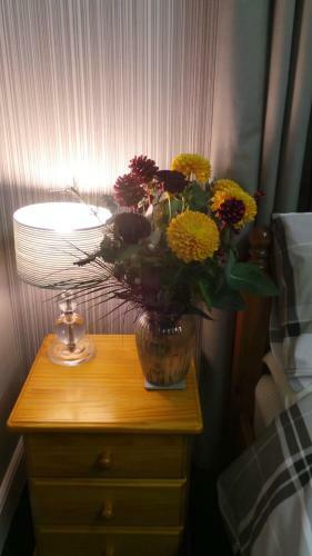 Bed & Breakfast Oakcliffe Hotel