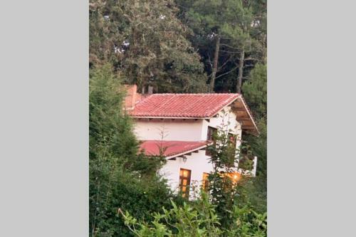 Caba�a Majestic: Un Encuentro Con El Bosque