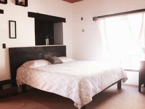 El Naranjo Hotel Finca Urbana