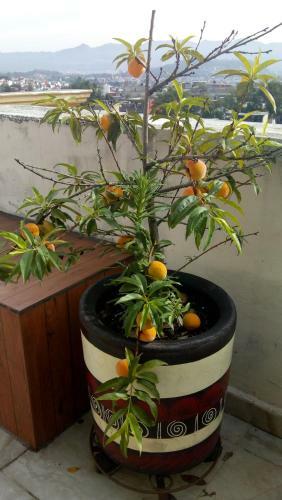 Apartamento Penthouse 3 Rec�maras, Terraza Espectacular