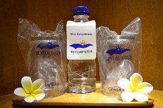 Hotel Mentari Sanur