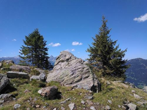 Tolles Einfamilienhaus Nahe Dem Bodensee