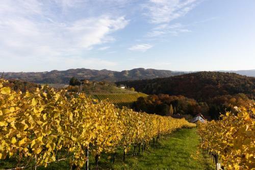 Weinberghaus Am Burgstallkogel