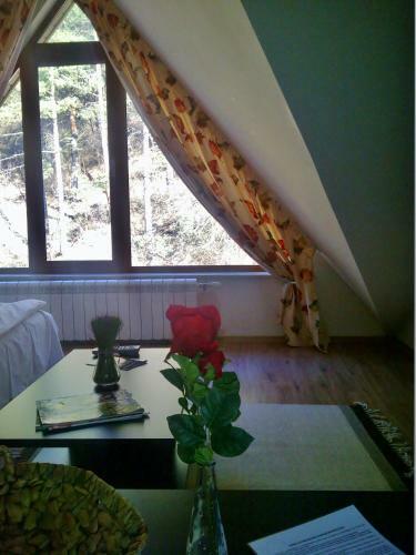 Villa Vila Rila Samokov