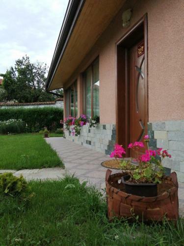 Hostal ???? ?? ????? ??? Guest House Cozy