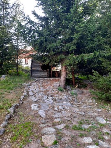 ???????? ?????????? ? ???????? ??????? ???? , ????????? ????? - Apartment With 1-bedroom, Smolyan Lakes
