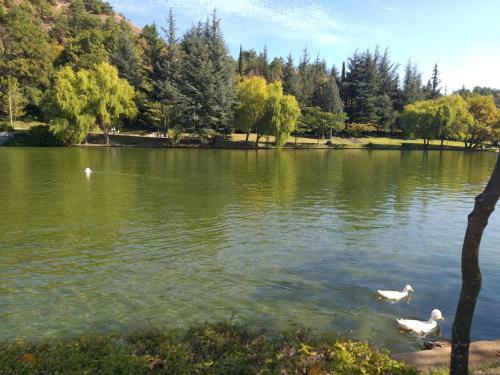Apartamento City Sandanski