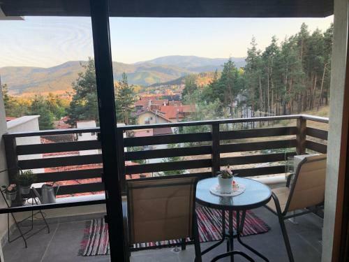 Apartamento Borov Park 3