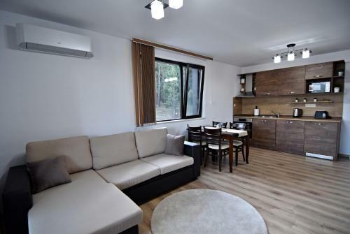 Apartamento Borov Park 3