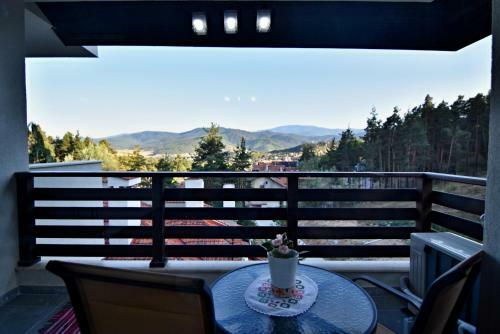 Apartamento Borov Park 3
