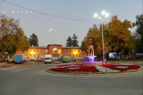 Apartamento Borov Park 3
