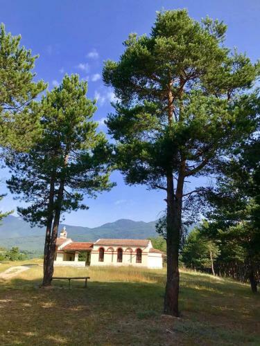 Apartamento Borov Park 3
