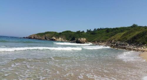 Apartment Sand Lilies