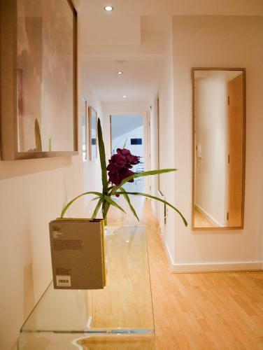 Nightspace: Regent House Apartments