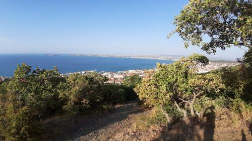 Apartamento Fort Noks Appartment 1st Line