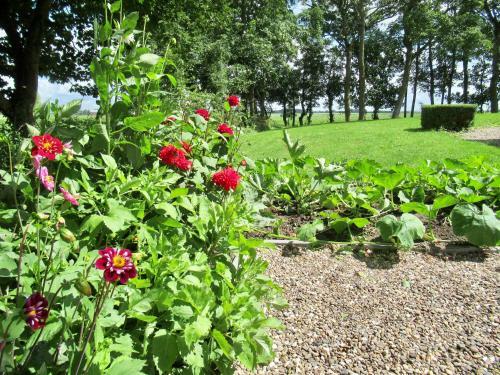Bed & Breakfast B And Be Happy Friesland