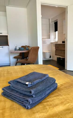 Apartamento Moderne Studio In H�t Wandel- En Fietsland Twente