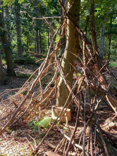 Glamping Safaritent Camping 't Vlintenholt