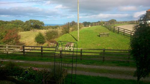 Meadowbeck Holiday Cottages