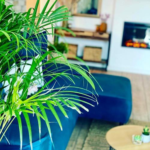 Apartamento Sarah Home