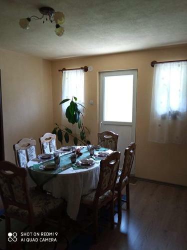 Hostal Tank� Timea Vend�gh�za