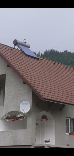 Hostal Tank� Timea Vend�gh�za
