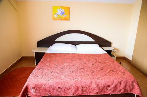 Hostal Pensiunea Alexia