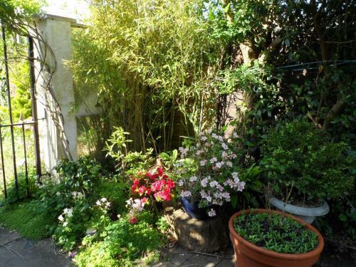 Hostal Galway Guest House