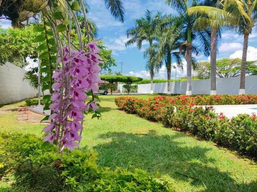 Finca Luz En Rozo-palmira