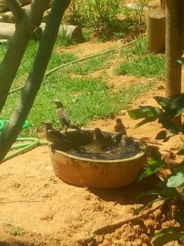 Vista Da Mata Dm, Conforto E Lazer Junto A Natureza