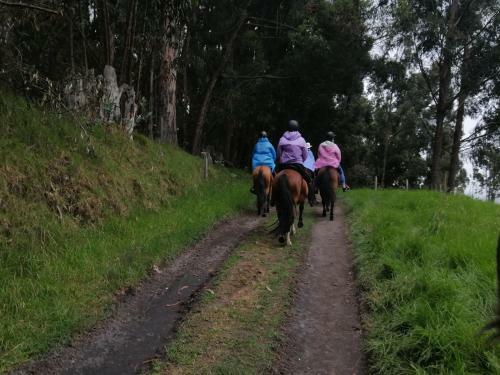 Bed & Breakfast La Isabela Estancia Ecuestre