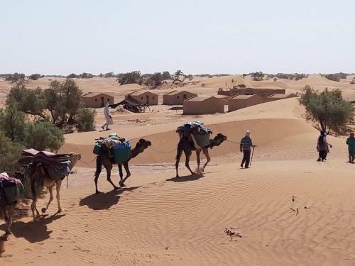 Bivouac M�lodie Du D�sert