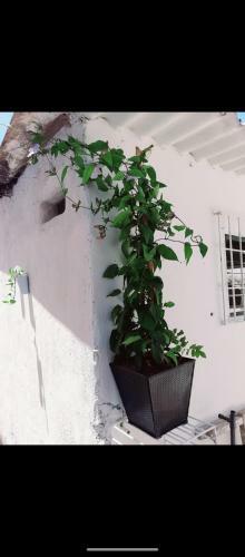 Apartamento Pescaito Beach