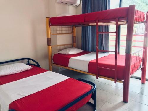 Apartamento Rodadero London 1003