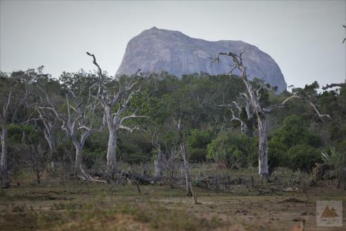 Basecamp - Yala