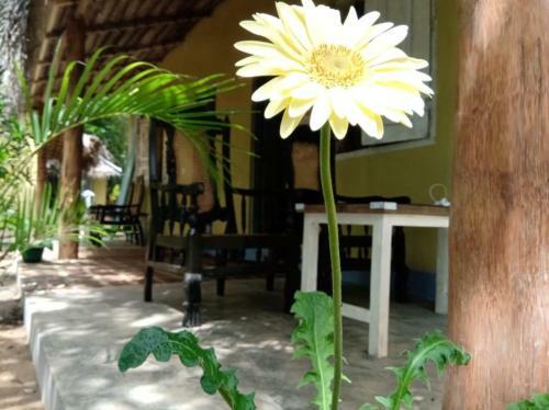 Hotel Kelaya At Hiriketiya Collection