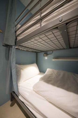 Deer Traveler Hostel