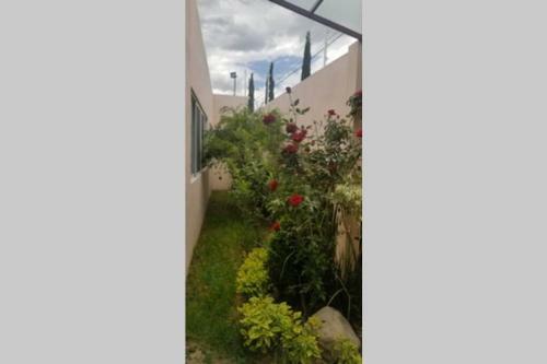 Casa Amplia De UNA Planta Con Alberca Climatizada