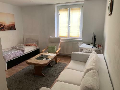 Apartamento Wohn-schlafraum Mit Einzelbett Und Sofa Tv K�che