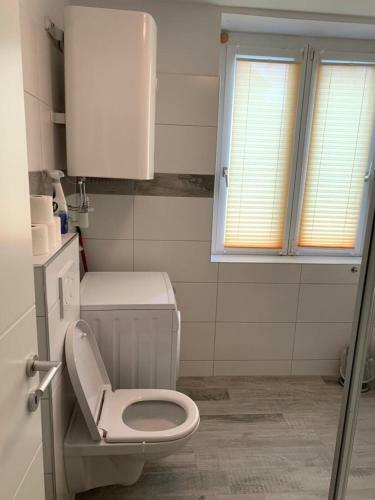 Apartamento Wohn-schlafraum Mit Einzelbett Und Sofa Tv K�che