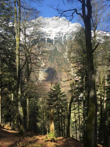 Apartamento Ferienwohnung Top 3