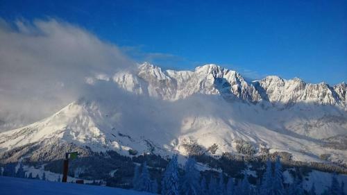 Apartamento Appartmenthaus Hochk�nig