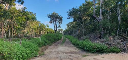 Hotel Energy Tulum Nudist Cabin Rentals
