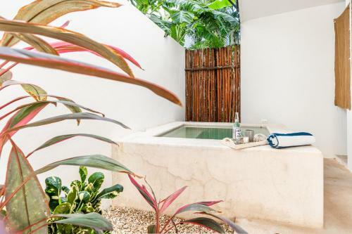 Apartamento Loft Laurel Plunge Pool , Wifi, A/c, Parking