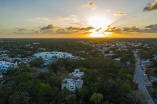El Vivero, Beautiful Apartment In Tulum A3