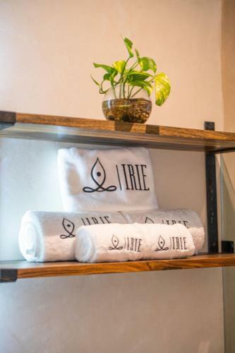 Apartamento Irie Tulum Boutique Hotel