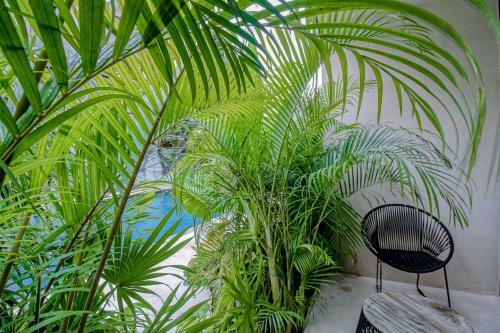 Apartamento Gardens Tulum