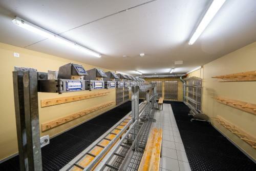 Apartamento Premium Ski In/out - Steinadler