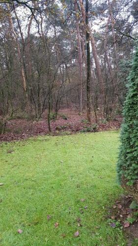 Huisje Koolmees Park Hoefbos Otterlo