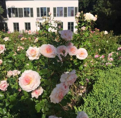 B&B Elswoutshoek